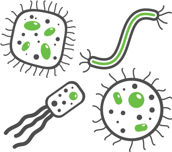 Colorful Cartoon Bacteria Illustration PNG image