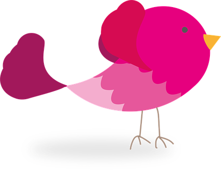 Colorful Cartoon Bird Illustration PNG image