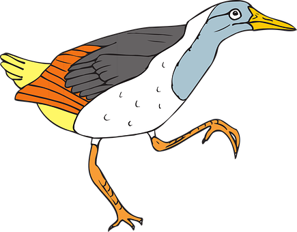 Colorful Cartoon Bird Illustration PNG image