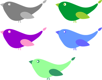 Colorful Cartoon Birds Vector PNG image