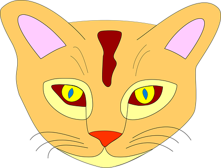 Colorful Cartoon Cat Face PNG image