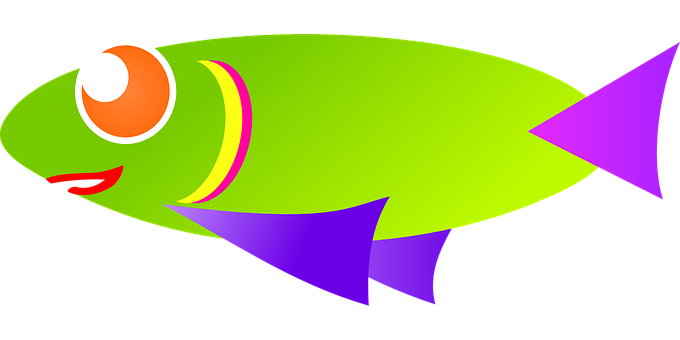 Colorful Cartoon Fish Illustration PNG image