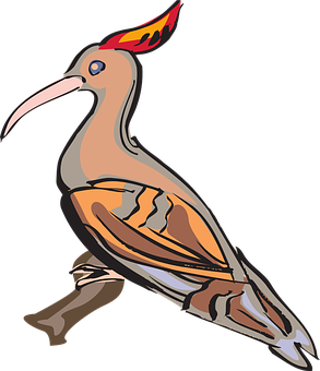 Colorful Cartoon Hoopoe Bird PNG image