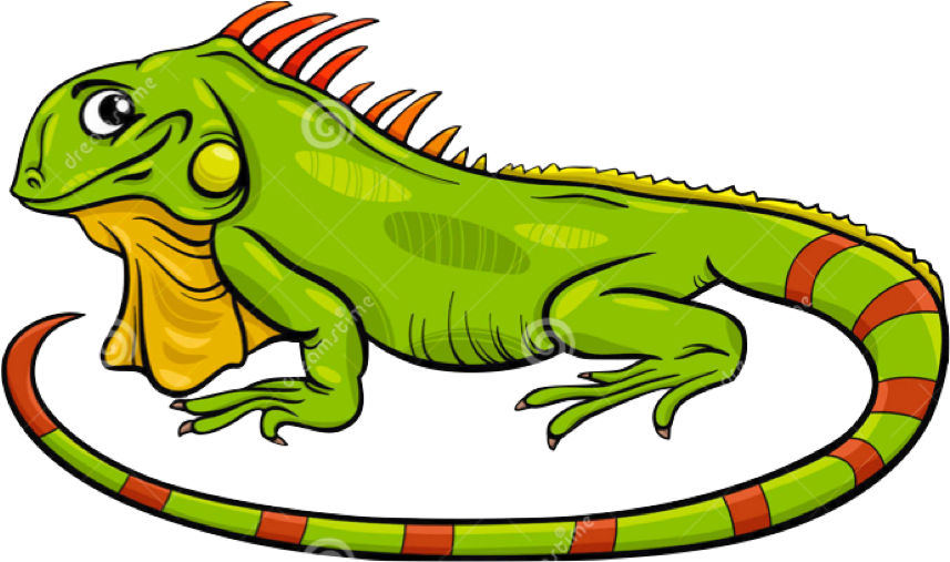 Colorful Cartoon Iguana PNG image