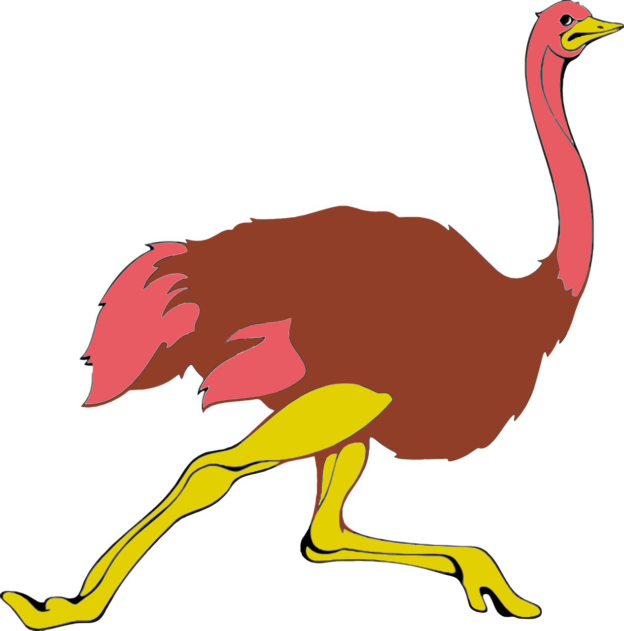 Colorful Cartoon Ostrich PNG image