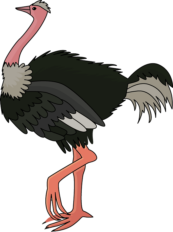 Colorful Cartoon Ostrich PNG image