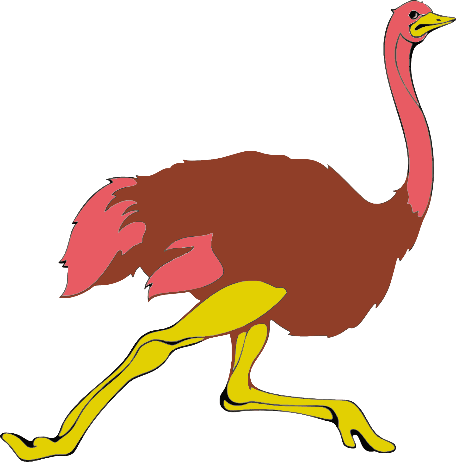 Colorful Cartoon Ostrich PNG image