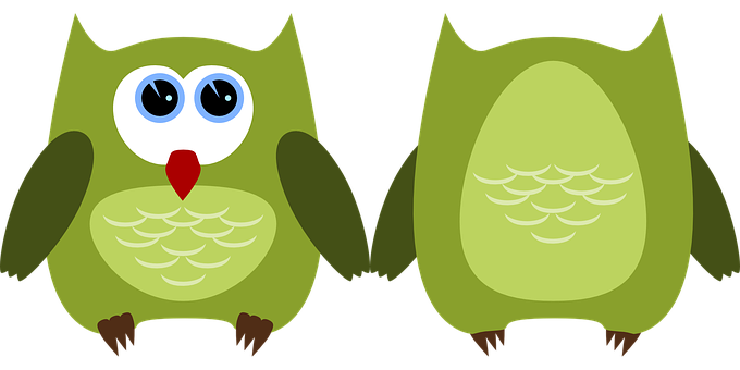 Colorful Cartoon Owls PNG image