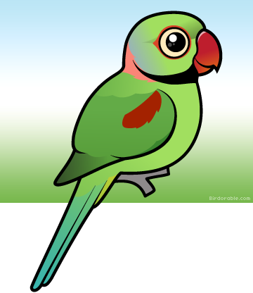 Colorful Cartoon Parrot PNG image