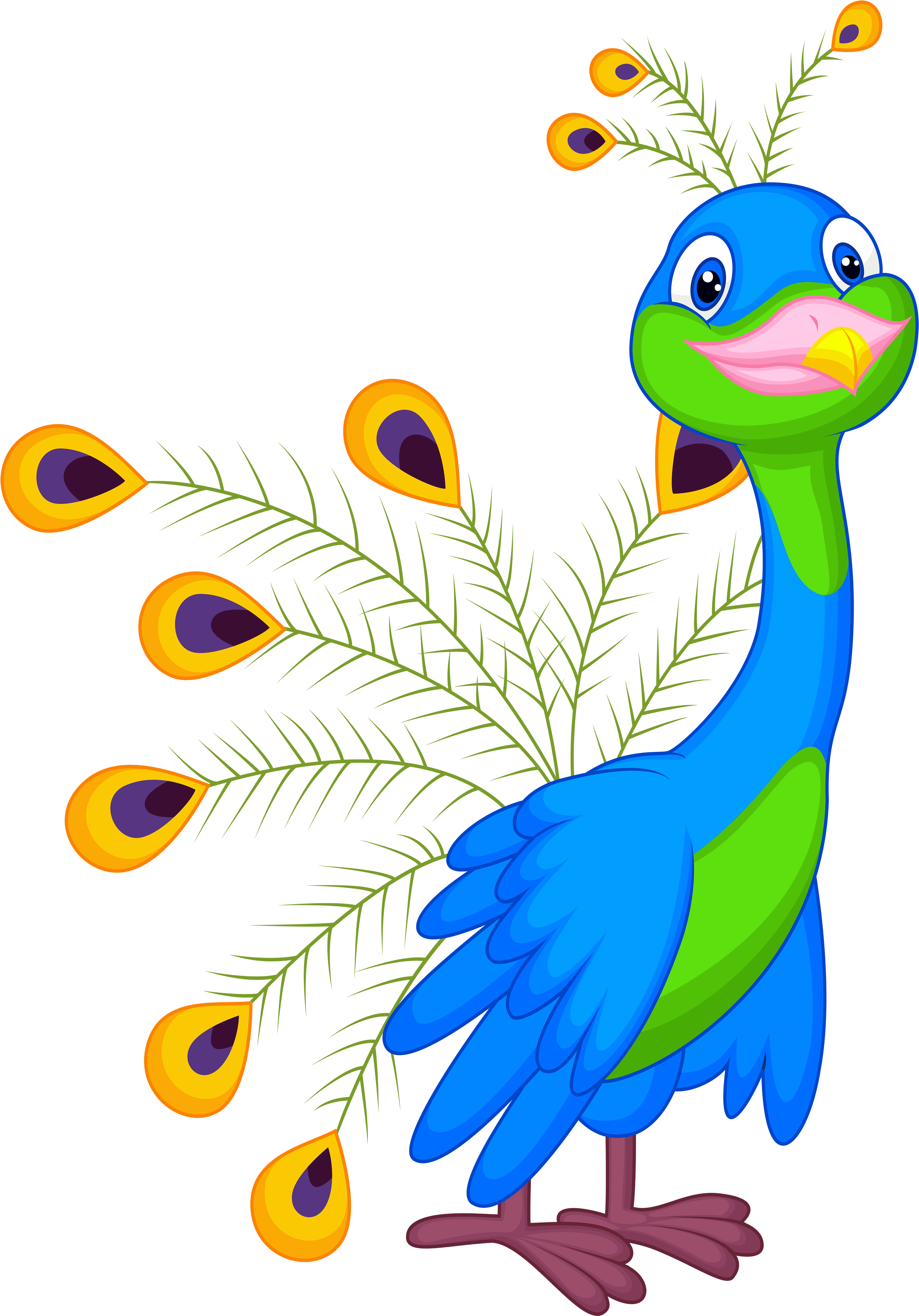Colorful Cartoon Peacock PNG image