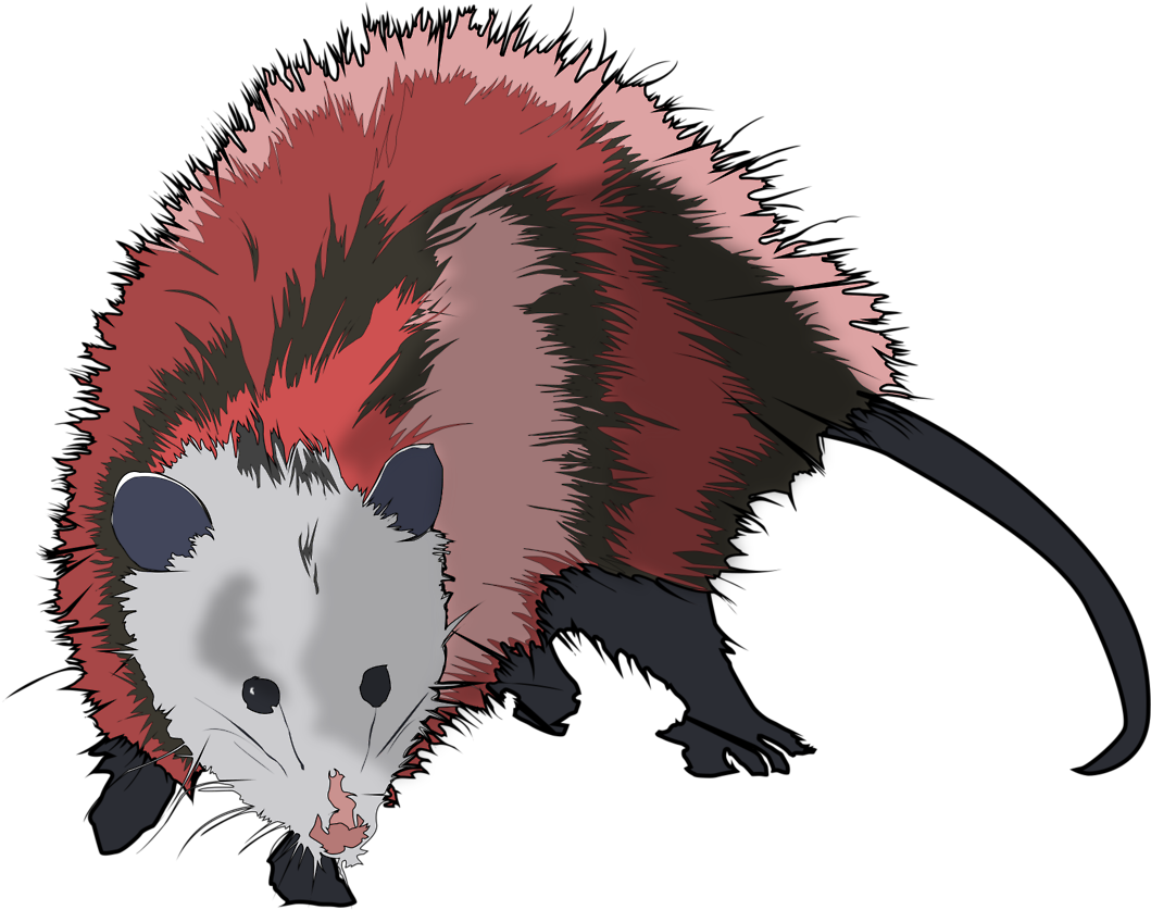 Colorful Cartoon Possum PNG image