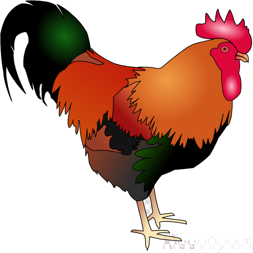 Colorful Cartoon Rooster Illustration PNG image