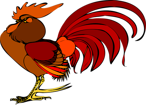 Colorful Cartoon Rooster Illustration PNG image