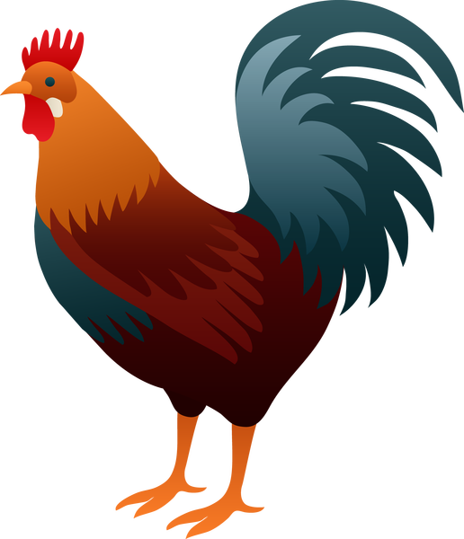 Colorful Cartoon Rooster Illustration PNG image