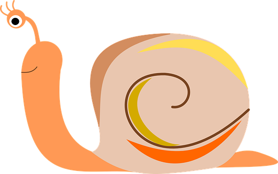 Colorful Cartoon Snail PNG image