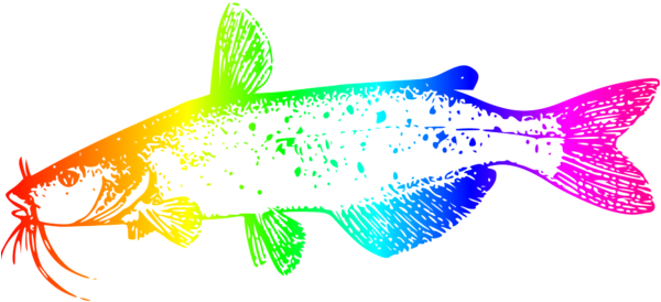 Colorful Catfish Illustration PNG image