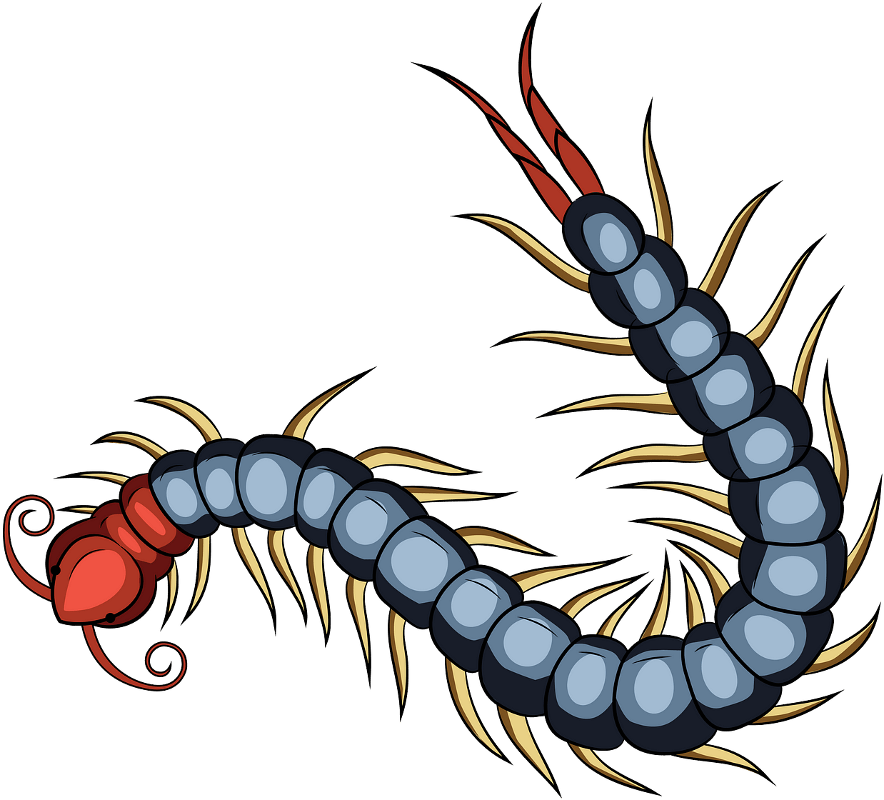 Colorful Centipede Illustration PNG image