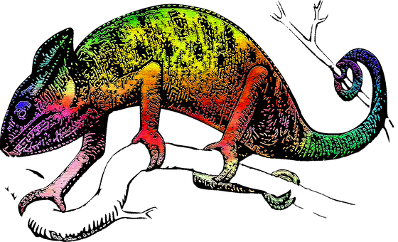Colorful Chameleon Artwork PNG image