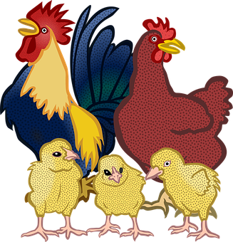 Colorful Chicken Family Illustration PNG image