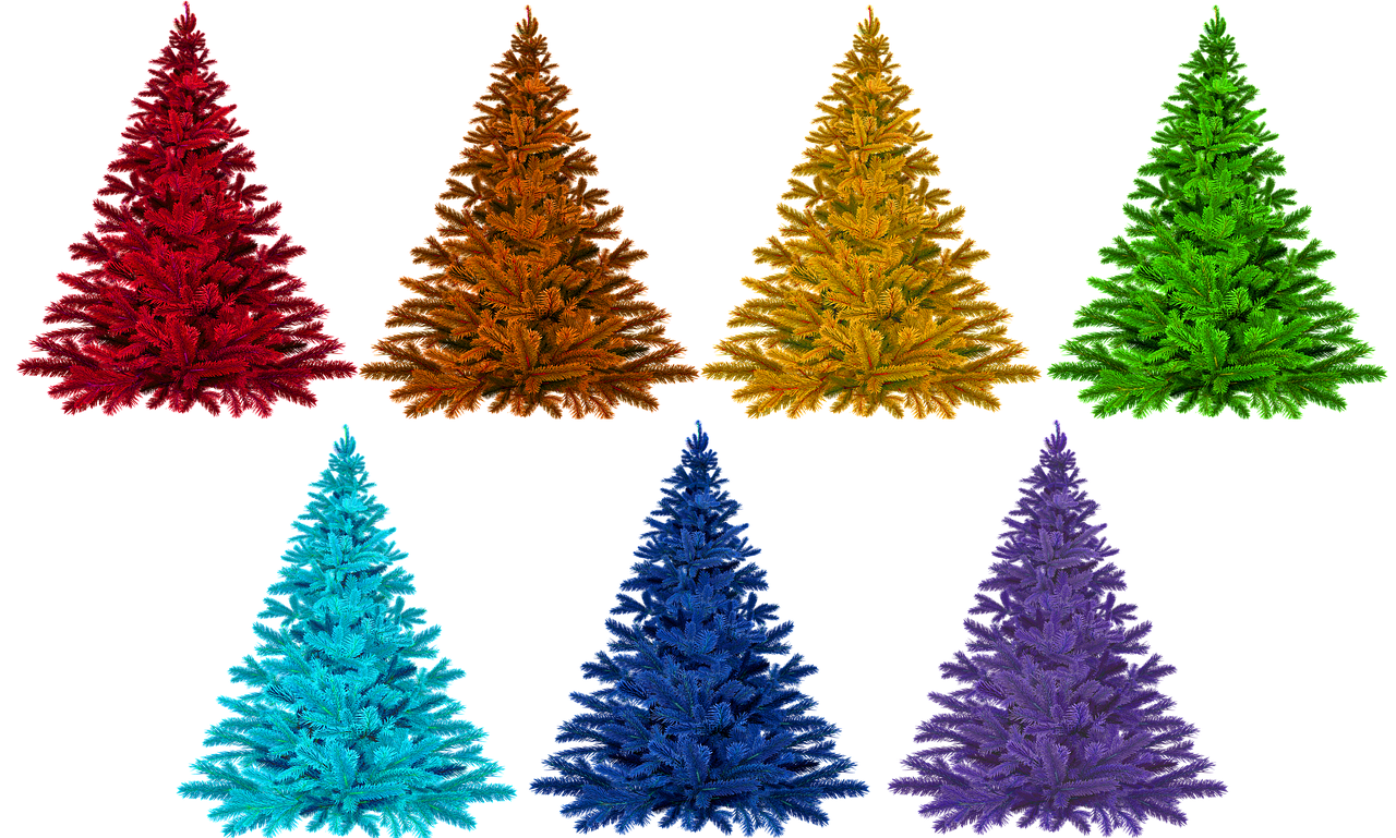 Colorful Christmas Trees Variety PNG image