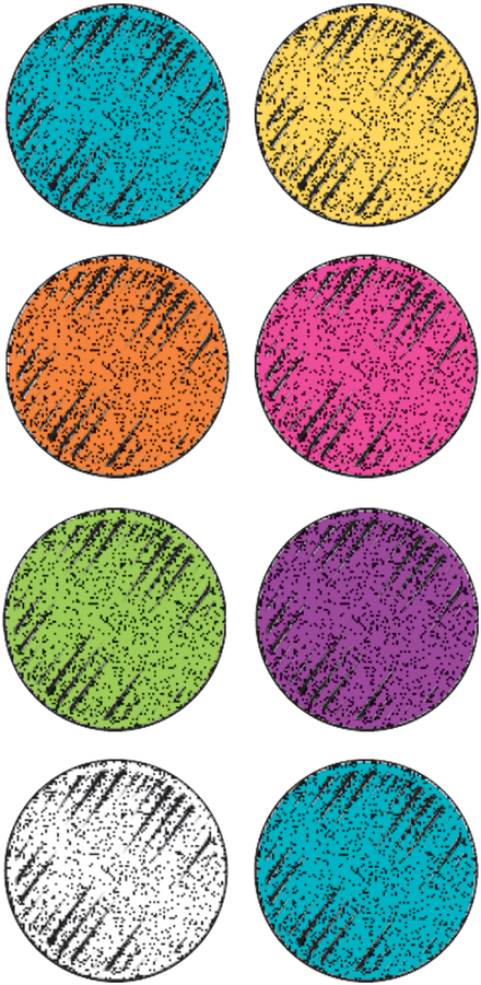 Colorful_ Circle_ Patterns_ Vector PNG image