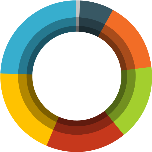Colorful Circular Infographic Chart PNG image