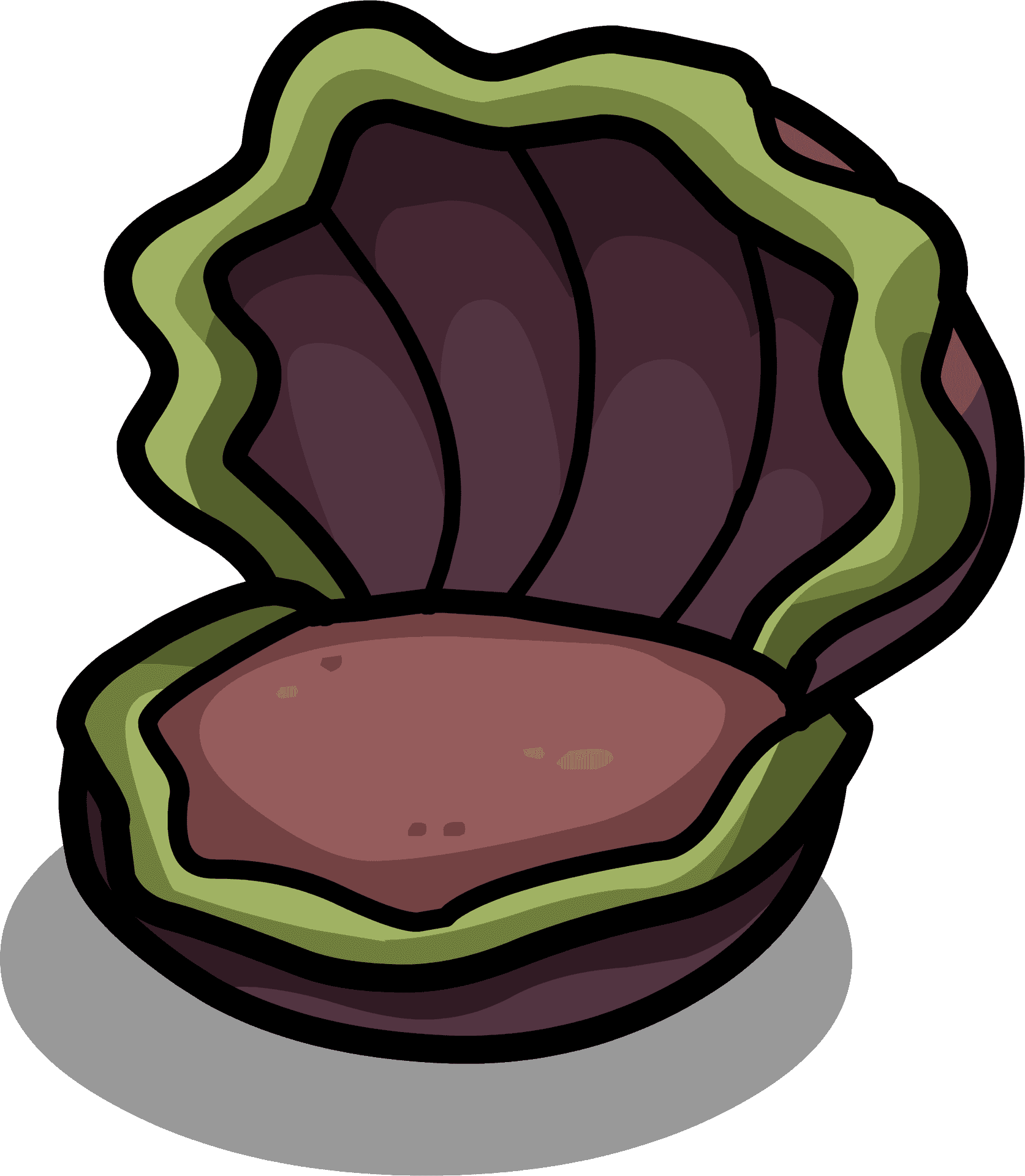 Colorful Clam Cartoon Illustration PNG image