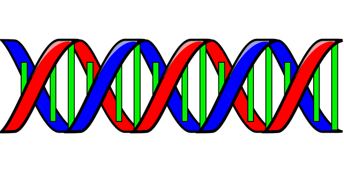 Colorful D N A Double Helix Illustration PNG image