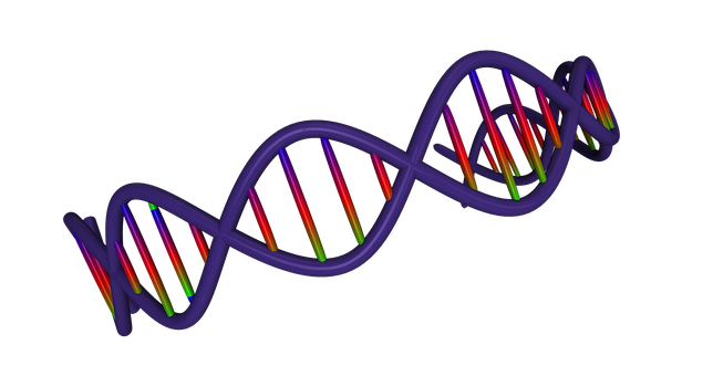 Colorful D N A Double Helix Structure PNG image