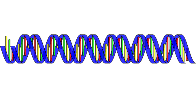 Colorful D N A Double Helix Structure PNG image