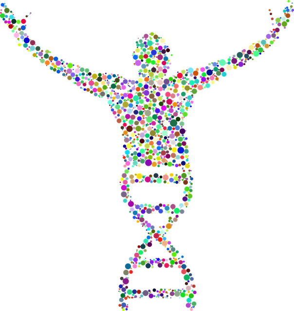 Colorful D N A Human Silhouette PNG image