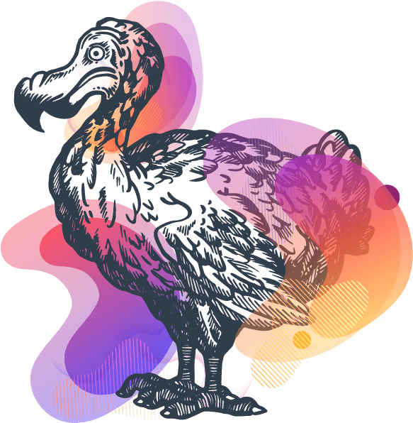 Colorful Dodo Artwork PNG image