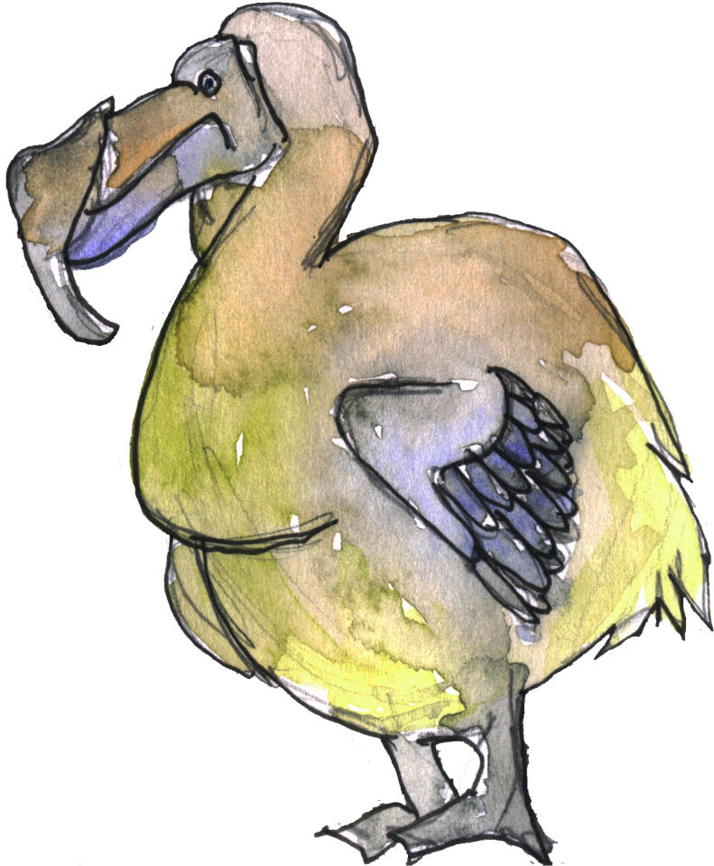 Colorful Dodo Bird Illustration PNG image