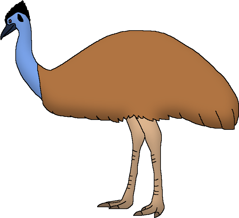 Colorful Emu Illustration PNG image