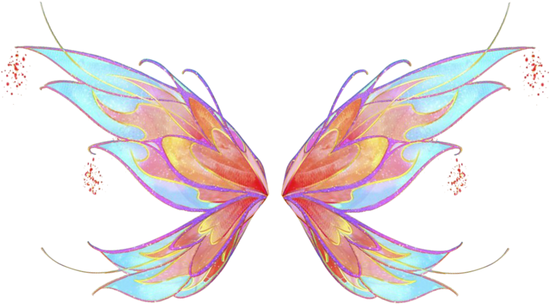Colorful Fairy Wings Illustration PNG image