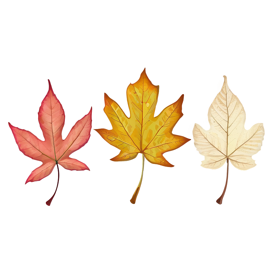 Colorful Fallen Leaves Collection Png 06292024 PNG image