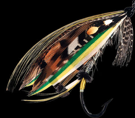 Colorful Feather Fishing Fly PNG image