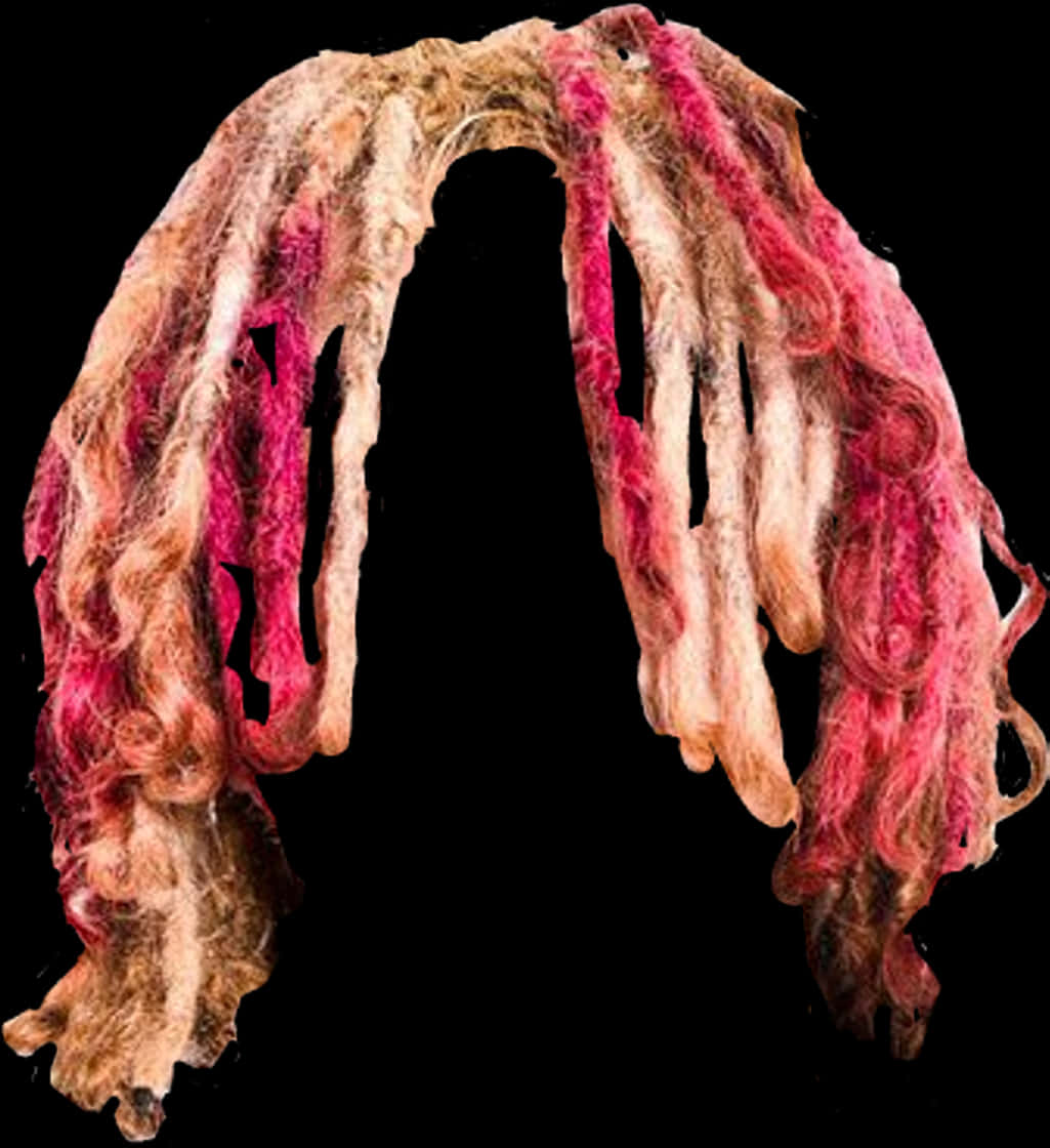 Colorful Felted Dreadlocks PNG image