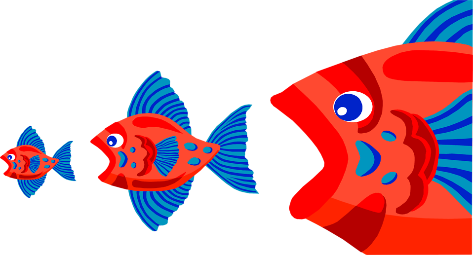 Colorful Fish Cartoon Illustration PNG image