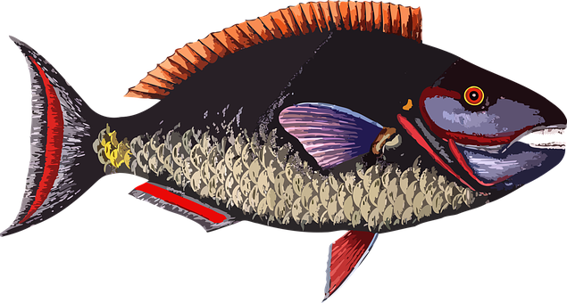 Colorful Fish Illustration PNG image