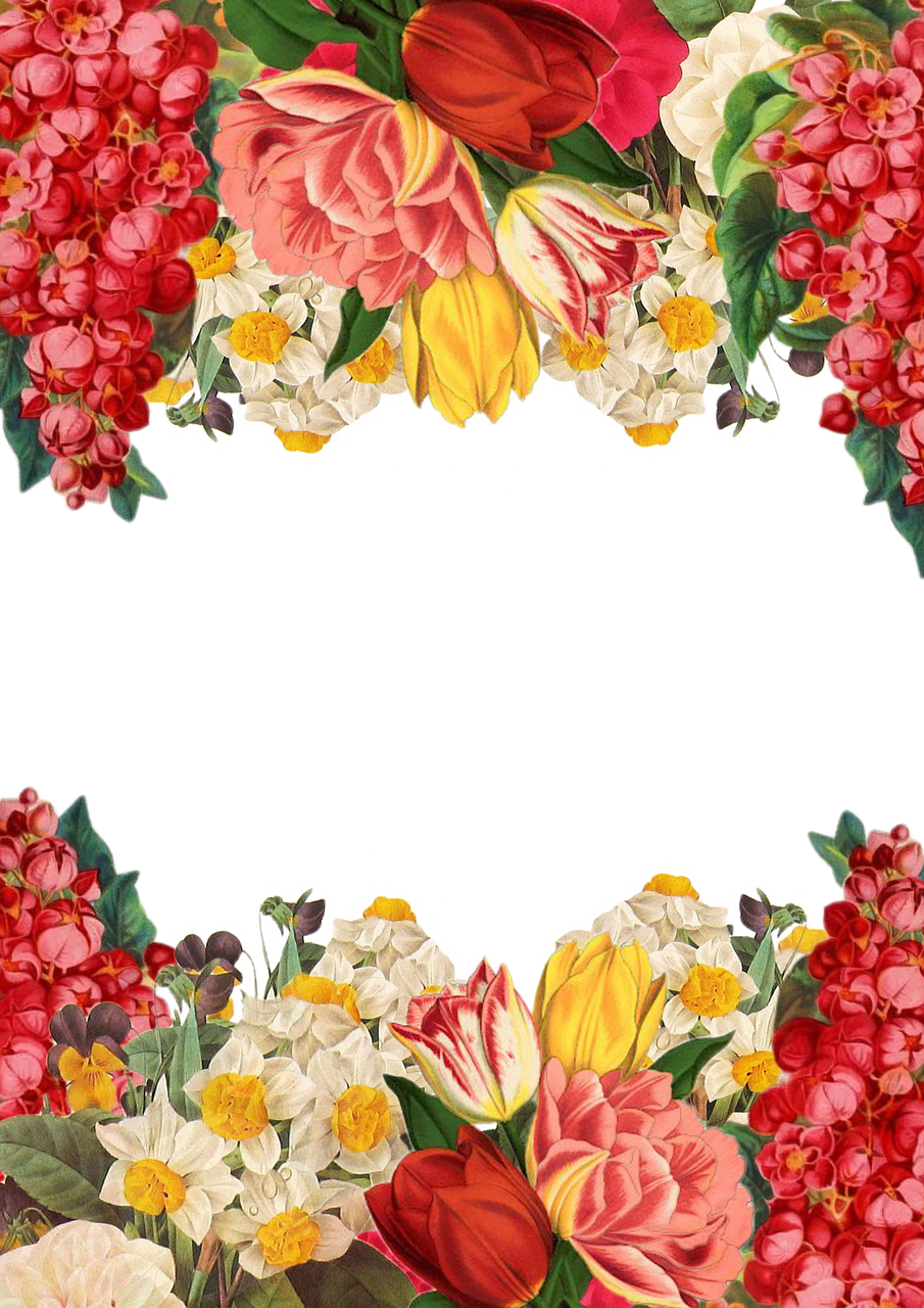 Colorful_ Floral_ Arrangement_ Frame PNG image