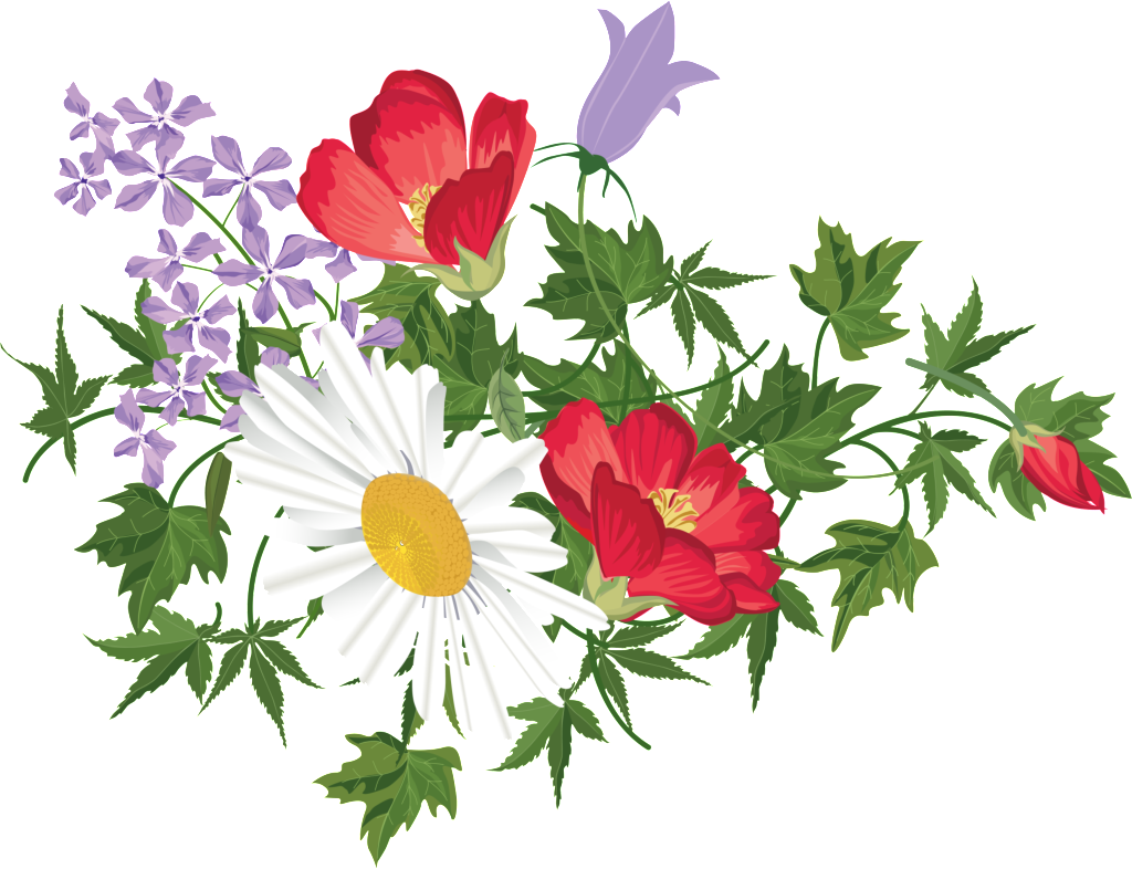 Colorful Floral Arrangement PNG image