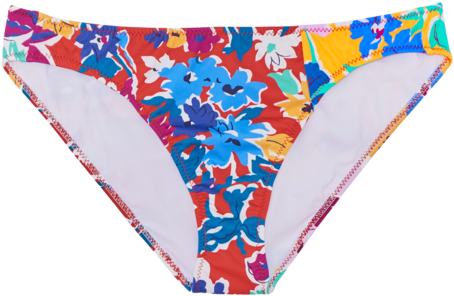 Colorful Floral Bikini Bottom PNG image