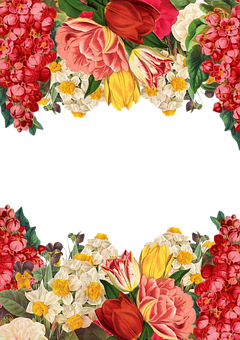 Colorful Floral Frame Black Background PNG image