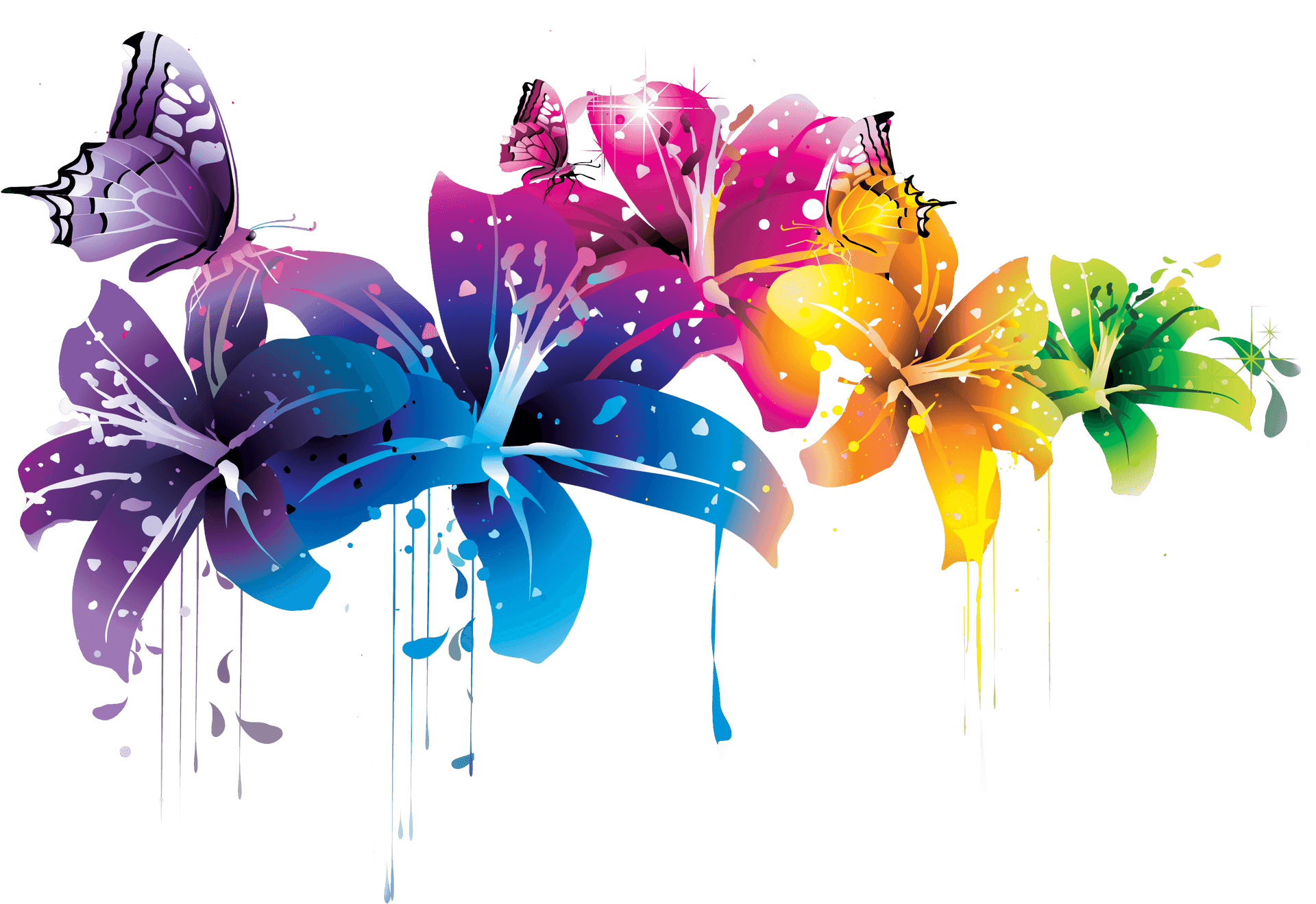 Colorful Floral Vectorwith Butterflies PNG image