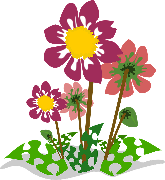Colorful Flowers Illustration PNG image