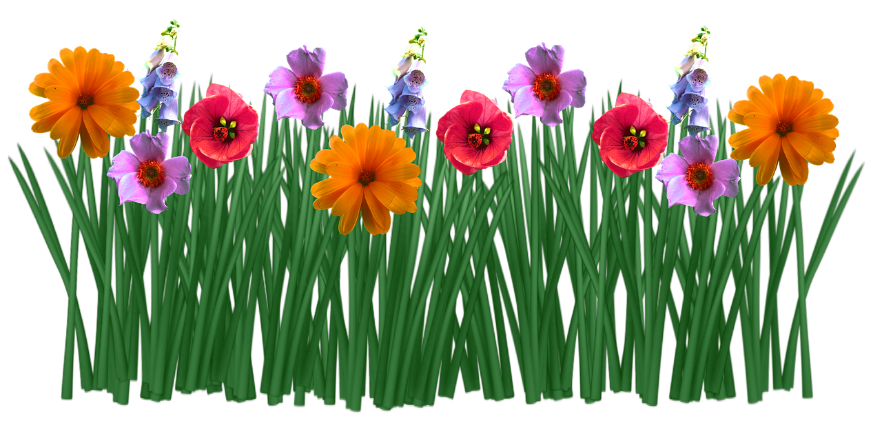 Colorful Flowers Transparent Background PNG image