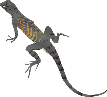 Colorful Gecko Silhouette PNG image