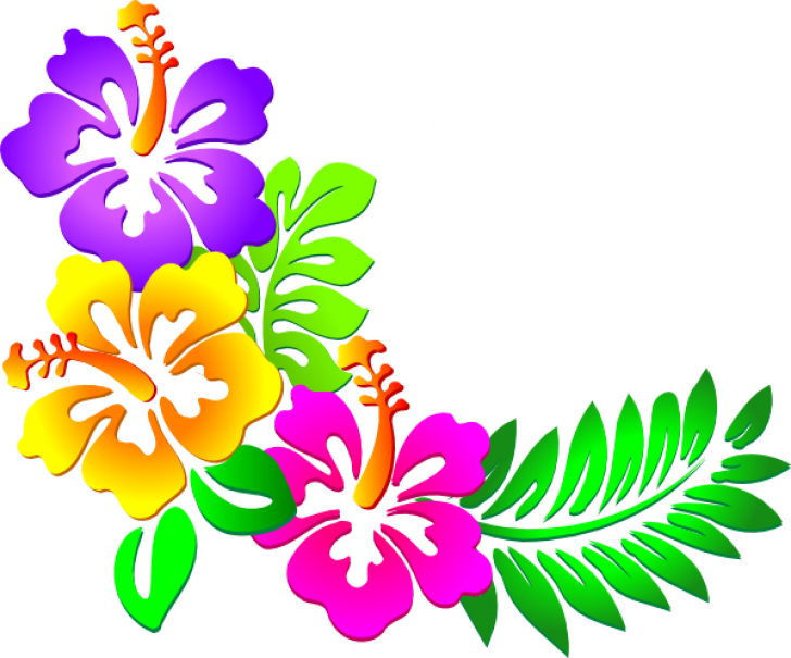 Colorful Hawaiian Flower Arrangement PNG image