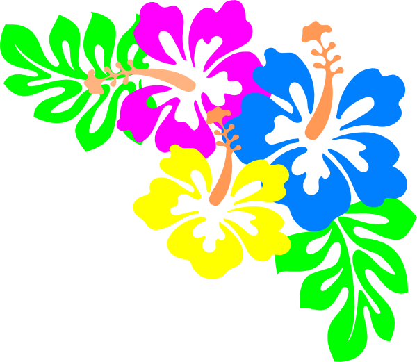 Colorful Hawaiian Flowers Illustration PNG image